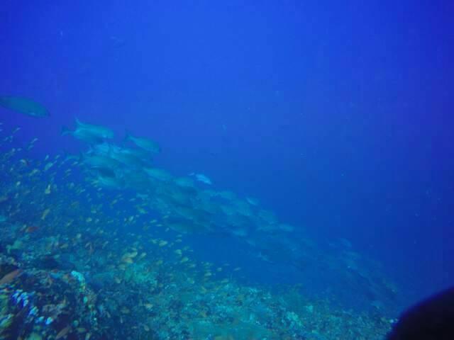 八打雁 阿尼洛水肺潜水中心（Asdc）旅馆酒店 外观 照片